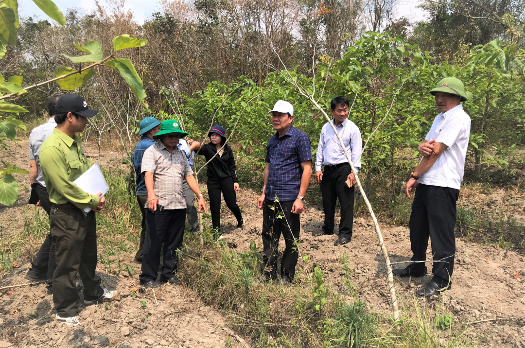 HĐND tỉnh giám sát về công tác trồng rừng, phát triển rừng tại huyện Ea Kar